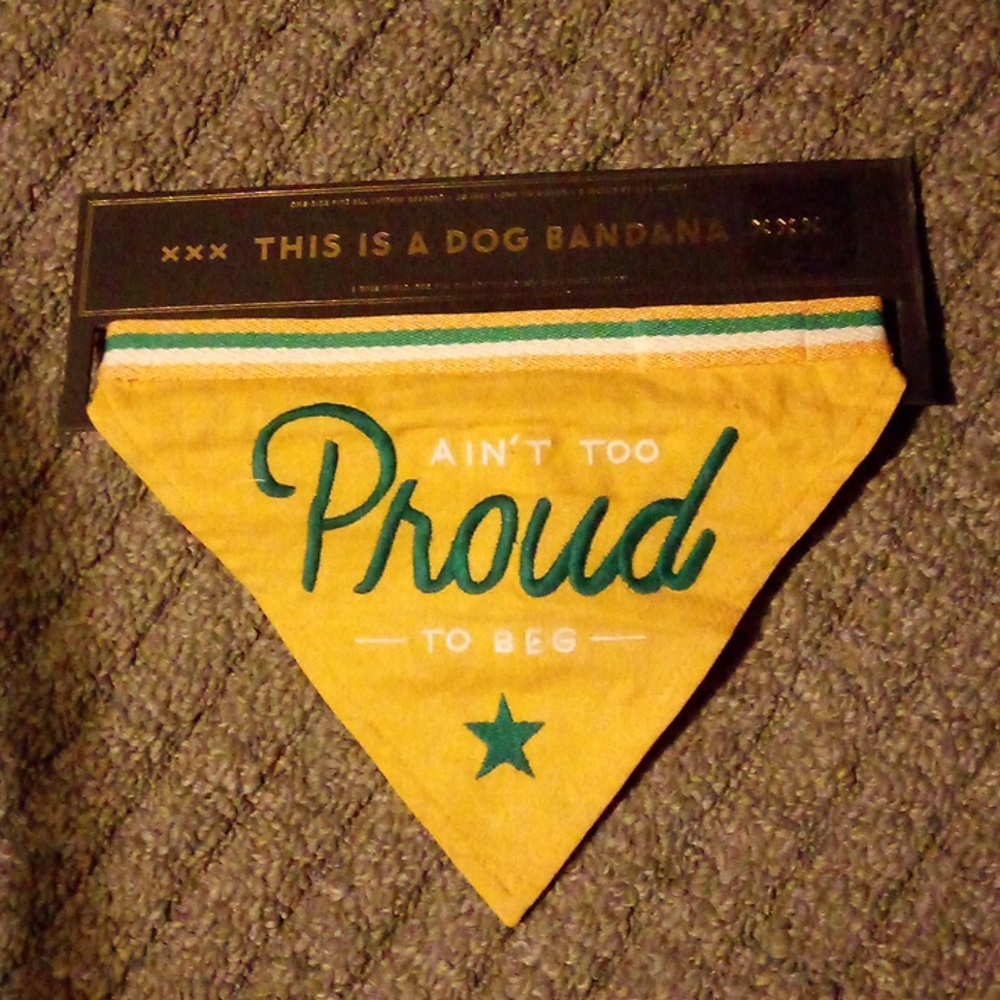 🆕Golden yellow/green/white (Ain't to proud to beg ⭐) DoG bandana @ See pics PLZ